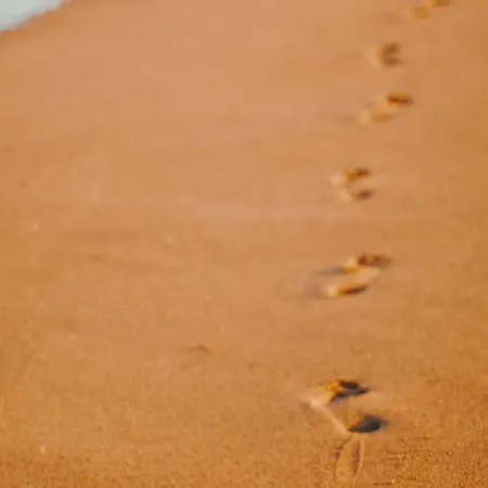 Maison Avec Piscine Chauffee, Proche Plage, 3 Chambres, Jardin Cloture, Wifi Inclus A St Hilaire De Riez - Fr-1-652-44 *