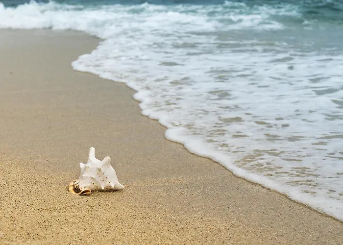 Maison Avec Piscine Chauffee, Proche Plage, 3 Chambres, Jardin Cloture, Wifi Inclus A St Hilaire De Riez - Fr-1-652-44 * Saint-Hilaire-de-Riez